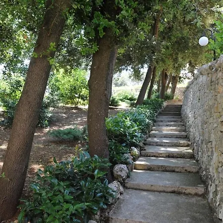 Rosa 4* Martina Franca