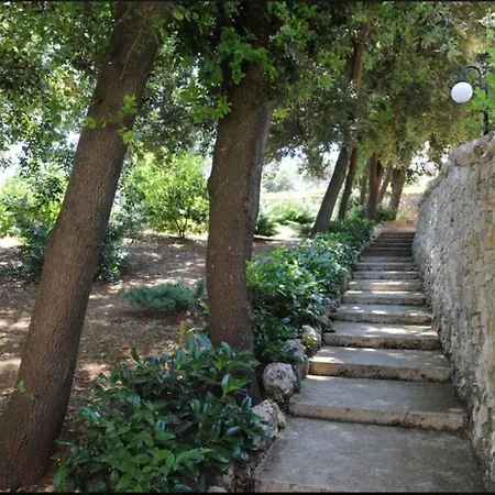 Rosa Μαρτίνα Φράνκα