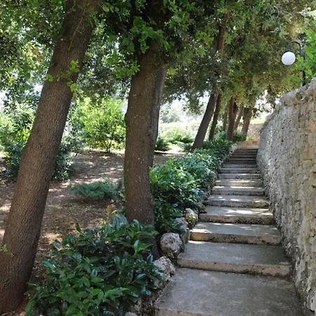 Rosa 4* Martina Franca