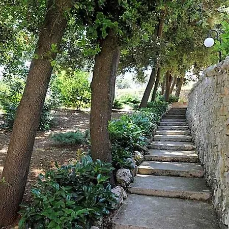 Rosa Martina Franca
